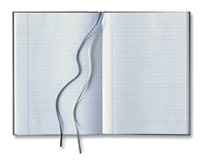 Large Ribbon HardBound Notebook